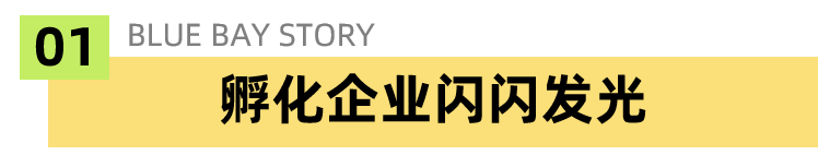 1736494013105611.png